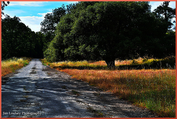 The 101 That Was w border DSC_0168