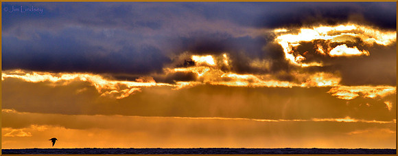 Solo w border DSC_0032