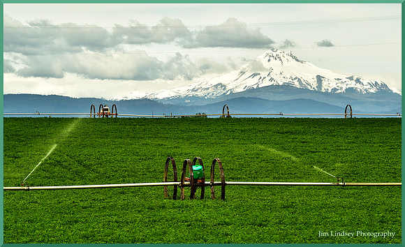 Volcano and Cropland  w border DSC_0854