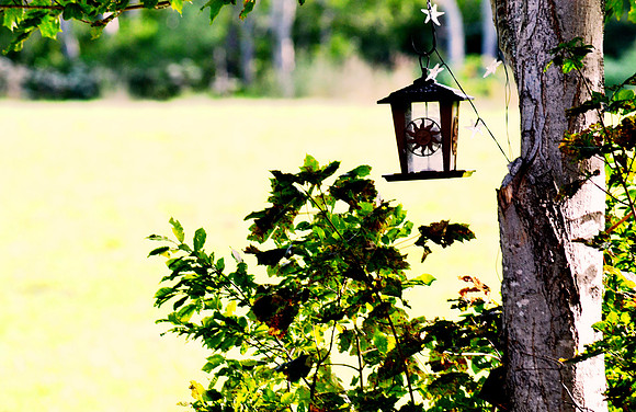 Birdfeeder