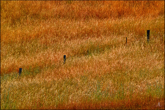 The Fence in the High Grass w sig DSC_0591