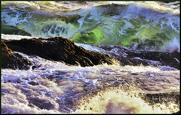 Tempestuous Relationship w border DSC_0508