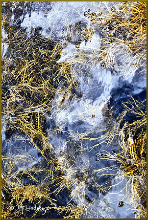 Clouds over Seaweed w border DSC_0382