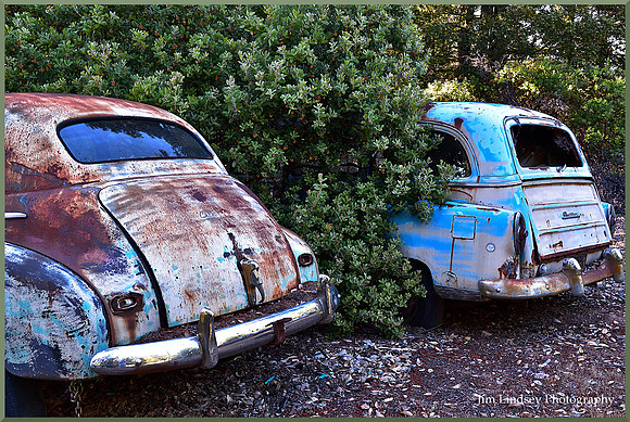 Cars in the Woods 15 w border DSC_0744