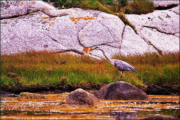Intent w sig DSC_0073
