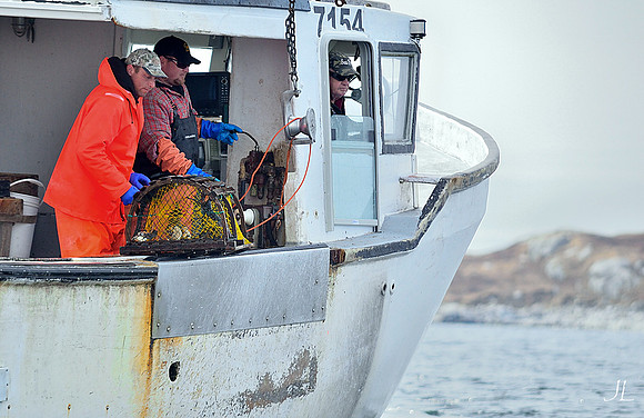 Olanna Scott - Lobster in the Pot DSC_0900