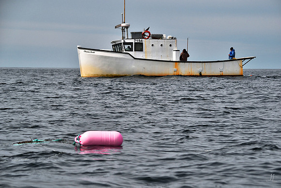 Pink Float DSC_0905