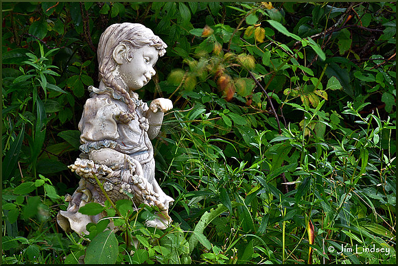 Abandoned Garden w border DSC_0460