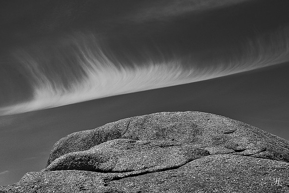 Halo DSC_0507