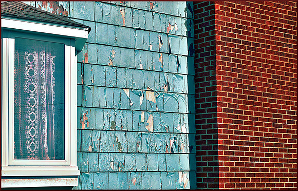 The Elegant, The Unavoidable, and the Bricks w sig DSC_0957