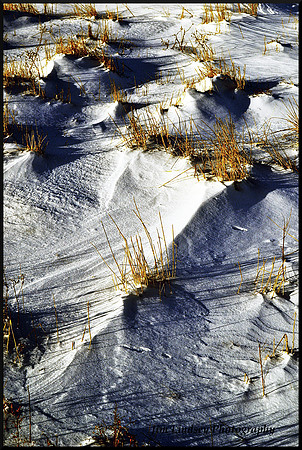 Islands in the Snow with border