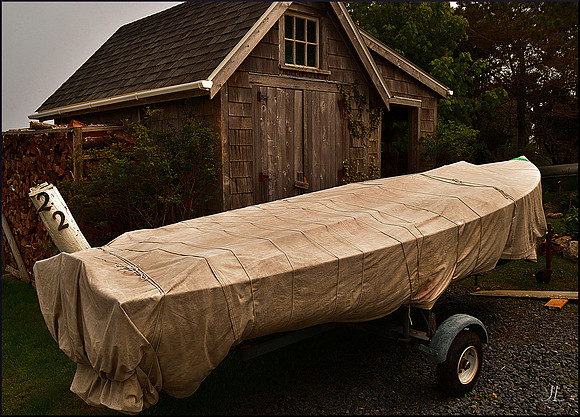 Blue Chip Under Wraps DSC_0165