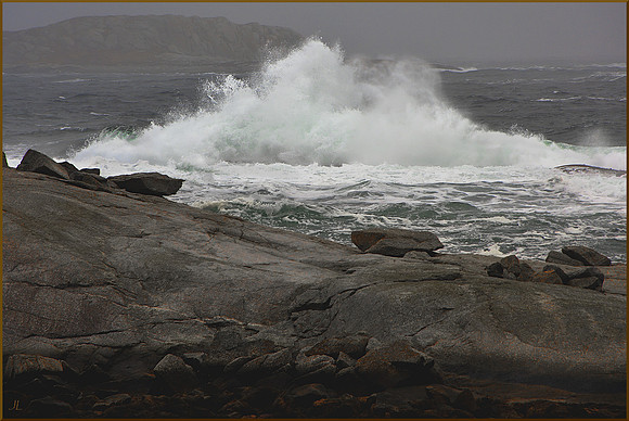 Kerfluffle on the Granite Coast w sig DSC_4181