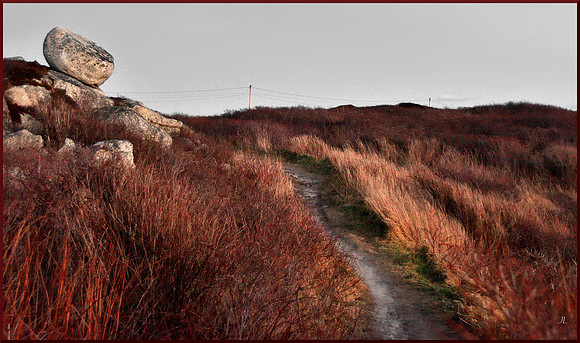 High Head Path w sig for web DSC_4359