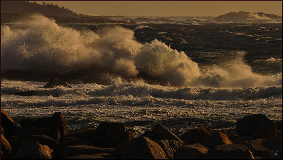 Commotion on the Ocean w sig DSC_4242