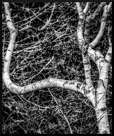 Stillness in Motion for web DSC_1038