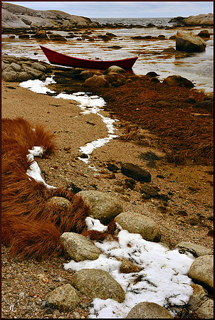 Mojavon Beached on Saul Island w sig for web DSC_4594