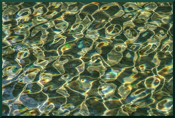 Shallows for web DSC_1060