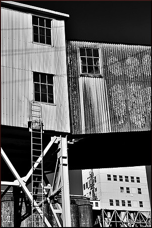 I Cover the Waterfront 3 w sig DSC_3308