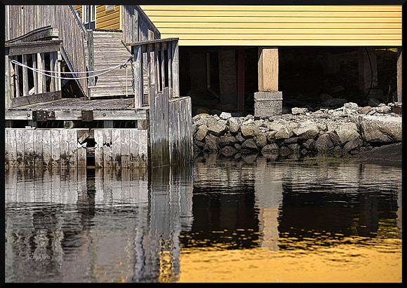 Study in Yellow DSC_1390
