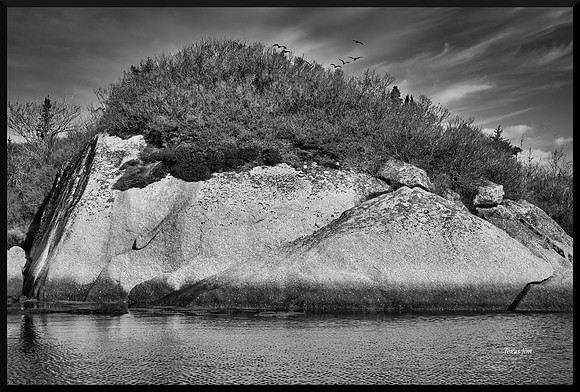 The Toupee DSC_1302_01 (1)