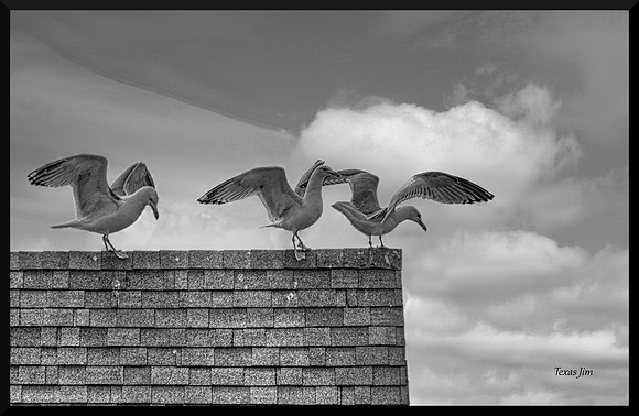 Flight School  2 DSC_1835