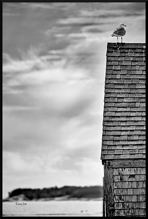 The Surveyor DSC_1843