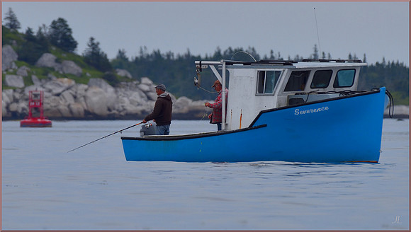 Looking for Lobster Bait w sig DSC_7311_01