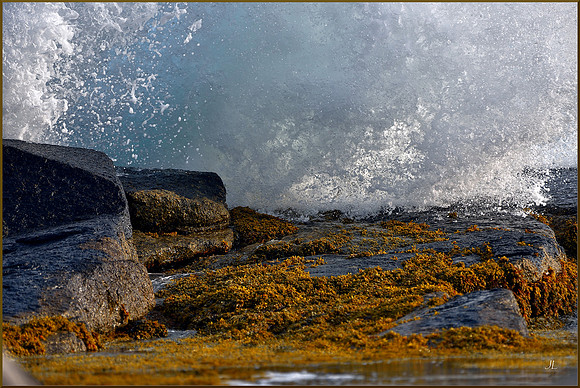 Wave's End for web DSC_7543