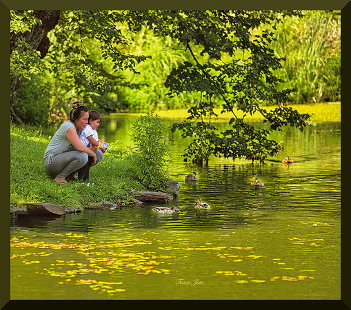 Watching Ducks for web DSC_7334