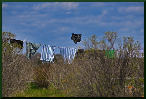 Shirt DSC_2058_01