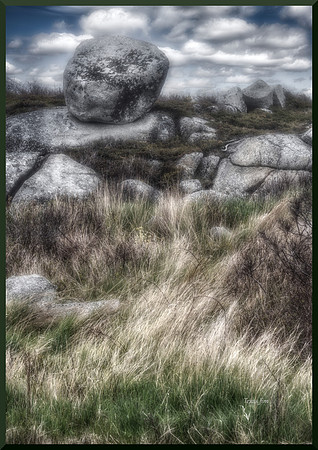 Magic of the Barrens w sig-bord DSC_2127