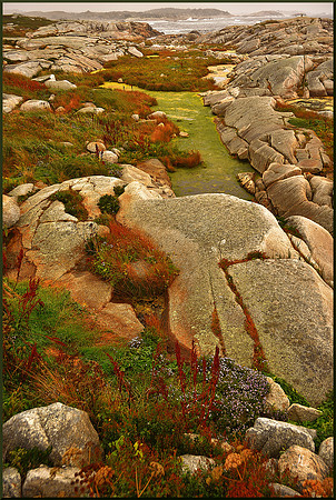 Granite Coast - Marshes at Peggy's Cove for web DSC_7724