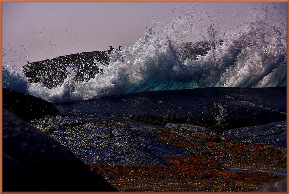 Turquoise Time for web DSC_7733