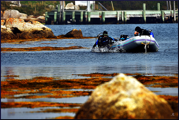 Father and Son Diving for web DSC_7747
