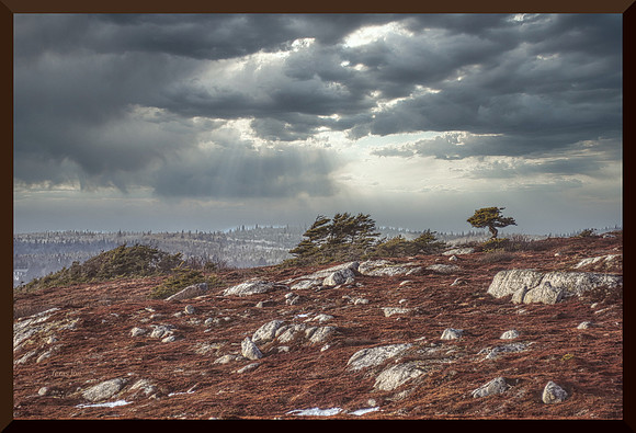 Pine Barrens w sig-bord for web DSC_4453