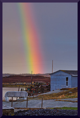 Rainbow DSC_4780