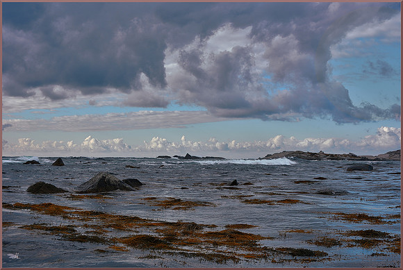 Study - Granite Coast for web DSC_8145