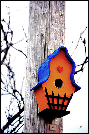 Bird House on Power Pole for web DSC_8241