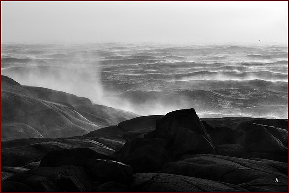 Windstorm from Peggy's Cove DSC_8350_03