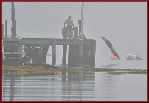 Foggy Plunge w border DSC_0102