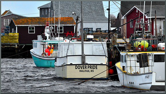 Rockin' at the Dover Docks for web DSC_8840
