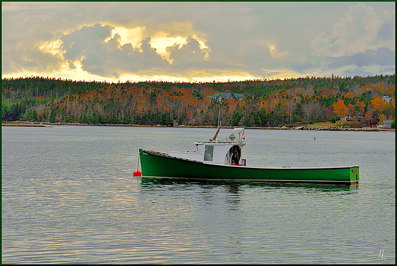 Cape Islander Afternoon w sig DSC_3561