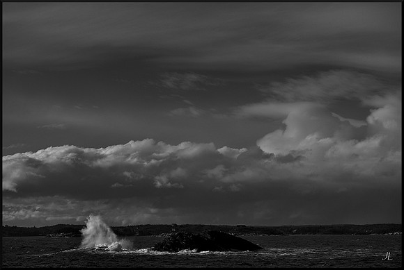 Little Gull Island DSC_8872_01