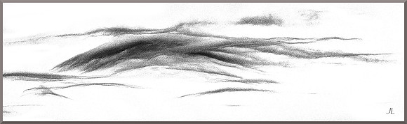 Seagull Cloud DSC_9053