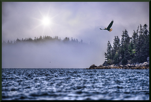 Islands in Fog DSC_2482 (1)