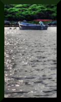 back bay boat
