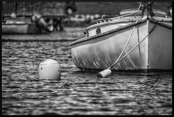 On the Mooring DSC_2669 (1)