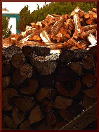 Wood Stacking for web DSC_9128
