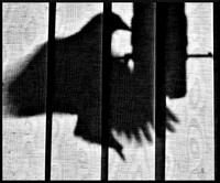 Bird Behind Blinds DSC_9236